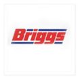 briggs-logo